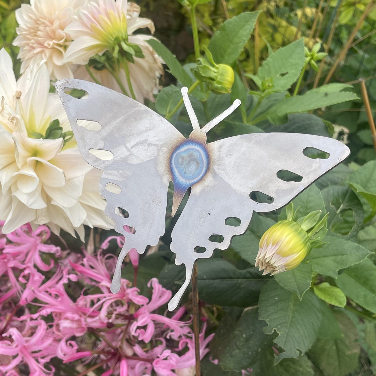 Decorative Steel Garden Stake Ornament – Butterfly 1 Single 5065022557265